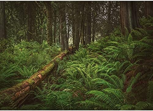 Yeşil Orman Doğal Manzara Fotoğraf Arka Plan Manzara Portre Fotoğraf Arka Plan Stüdyo Sahne A4 10x10ft / 3x3 m