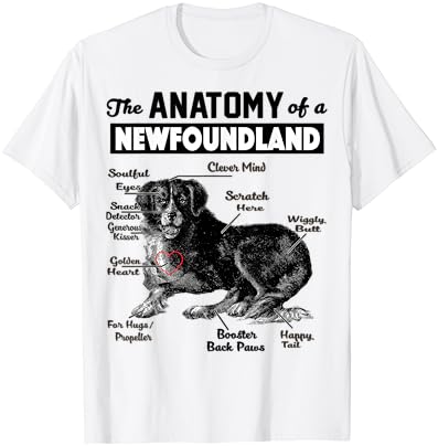 Bir Newfoundland Köpek gömleğinin anatomisi
