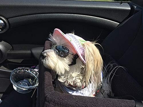 BBEART Pet Kap, yuvarlak Şapka Moda Köpek Tuval Prenses Şapka Beyzbol Ayarlanabilir Çene Kayışı Güneş Koruma Siperliği Yavru