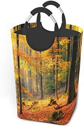 Renkli Ve Sisli Sonbahar Orman Polyester Kare Kirli Çamaşır Torbası,Büyük Kapasiteli,Ofis İçin Uygun, Oturma Odası, Banyo, 12.
