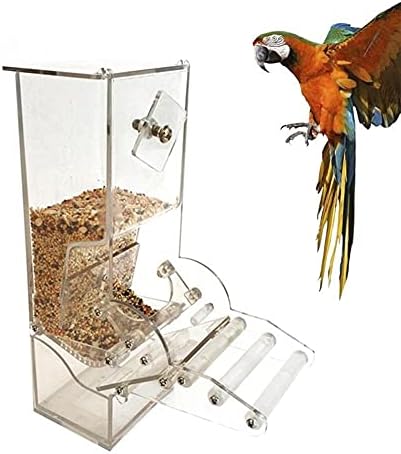 CEETY Akrilik Papağan Besleme Kutusu Otomatik Kuş Besleyici Kutusu Papağan Kafesi Aksesuarları Gazebo Besleyici