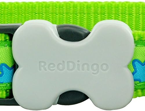 Mavi Yıldız Köpek Tasması ile Kırmızı Dingo Kireç Yeşili