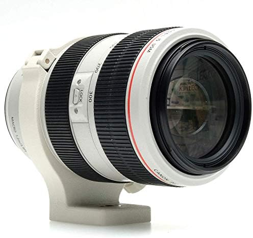 Canon EF 70-300mm f4-5.6 L ıs USM Lensler