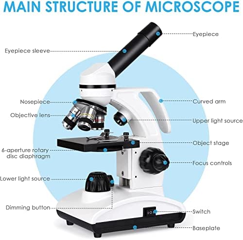 Optik Mikroskop 40X-1000X, çift LED Öğrenci Mikroskop Kiti ile Mikroskop Slaytlar Set, Telefon Adaptörü, bileşik Monoküler Mikroskop