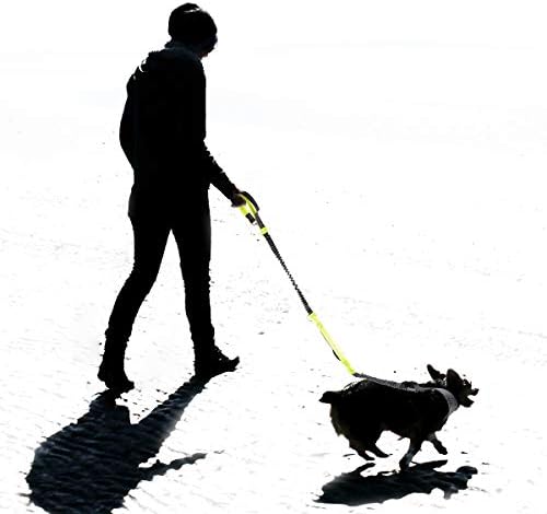 April Pets'in Eller Serbest Geri Çekilebilir Köpek Tasmaları, Koşu, Koşu ve Yürüyüş için Ayarlanabilir Bel Kemeri, 150 lbs'ye