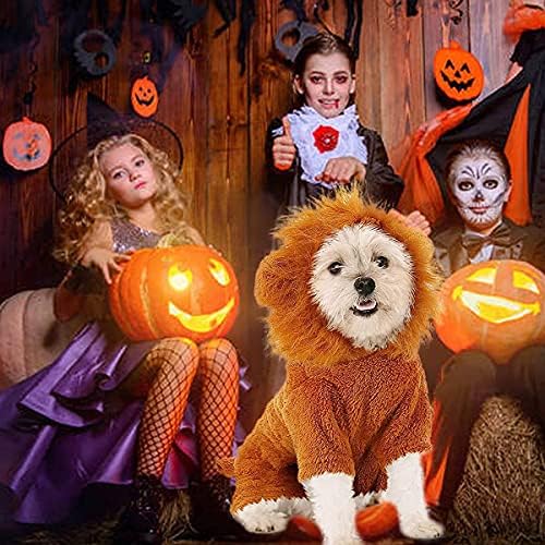 Köpek Aslan Kostüm, Pet Aslan Yele Tulum Kostümleri, Köpek Giyim Cadılar Bayramı Parti Kıyafetleri, Doggy Simülasyon Aslan Peruk