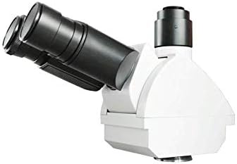 BoliOptics Trinoküler Bileşik Mikroskop Mercek Vücut Tüp, Sonsuz, Ayarlanabilir Eyetube Açısı 0-45 Derece, BM11101351