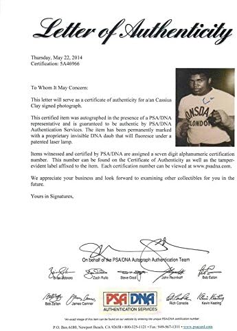 Muhammed Ali İmzalı 'Cassius Clay' Otantik 11X14 Fotoğraf PSA / DNA ITP 5A46966