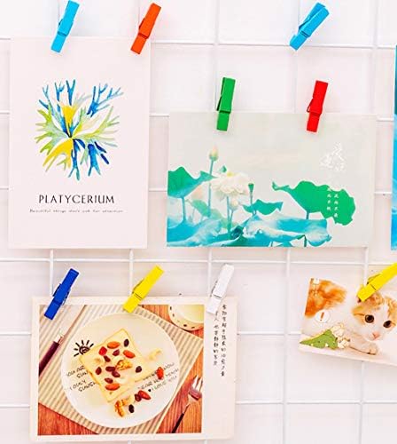 HHMM 200 Adet Mini Clothespins Renkli Resim Ahşap Klipler Asılı Resimler için El Sanatları Bebek Giysileri Hattı Klip