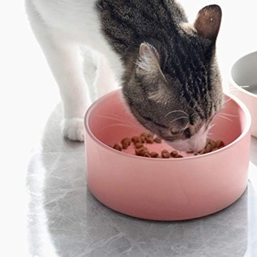 Seramik Kedi Köpek Çift Kase Çanak Lron Standı ile Hiçbir Dökülme Pet Gıda Su Besleyici Kediler Küçük Köpekler Pet Gıda Veya