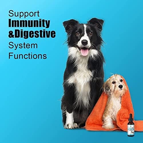 Köpekler ve Kediler için Organik Evcil Kenevir Yağı-250.000 mg Doğal Kenevir Özü-Ağrı, Anksiyete ve Stres Giderici için-Eklemleri,