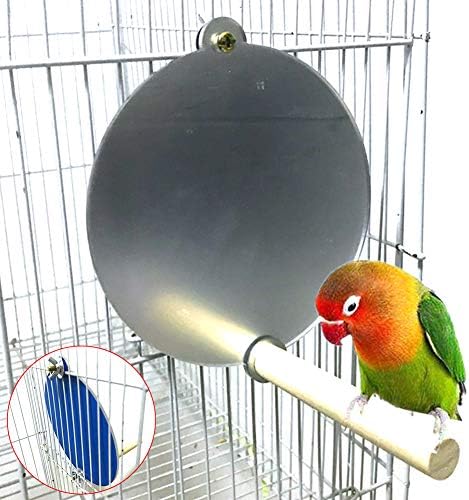 lEIsr00y Pet Kuş Papağan Ahşap Standı Levrek Asılı Ayna Kafes Chew Bite-resisntant Oyuncak-Ahşap Renk