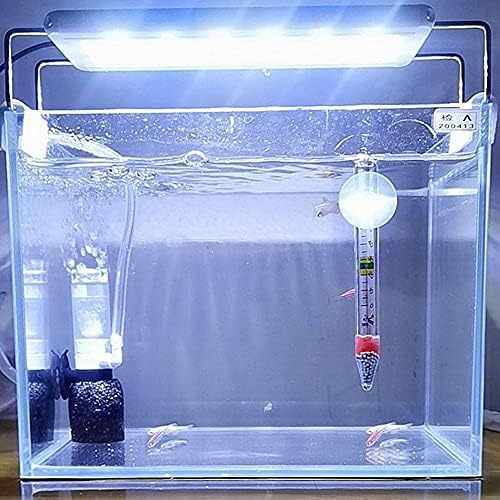 TechnologyMatter Mini Akvaryum Filtresi Hava Tahrikli Sünger Filtre Küçük Balık Tankı için 0.5-5 Galon