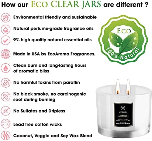 EcoAroma Kokulu Mumlar Organik Hindistan Cevizi-Soya Balmumu. Doğal Çiçek Özü Parfüm Yağları Premium Aromaterapi Mum 18 Oz Frost